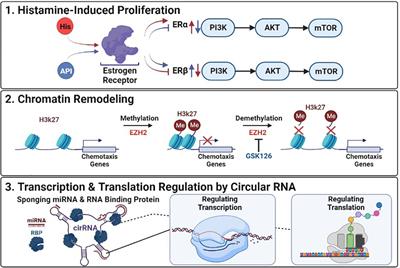 Editorial: Altered epigenetic modification mediated dysregulated transcriptional networks in drug resistance